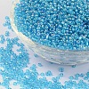 Round Glass Seed Beads X1-SEED-A007-2mm-163B-1