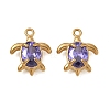 304 Stainless Steel Pendants RB-CBAC830-04G-02-1