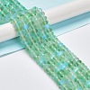 Frosted Transparent Glass Beads Strands FGLA-M002-01F-2