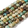Natural Turquoise Beads Strands G-P506-06B-1