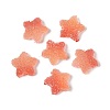 Imitation Candy Food Style Resin Cabochons RESI-R461-02A-2