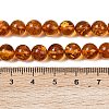 Natural Amber Beads Strands G-L095-B01-8mm-03-3