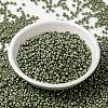 MIYUKI Round Rocailles Beads SEED-JP0009-RR2033-2