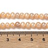 Natural Cultured Freshwater Pearl Beads Strands PEAR-L034-02-5