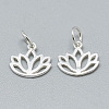 925 Sterling Silver Charms STER-T002-277S-1