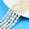 Natural Cultured Freshwater Pearl Beads Strands PEAR-N014-07H-5