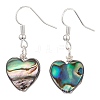 Abalone Shell/Paua Shell Dangle Earrings EJEW-JE06208-2