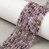 Natural Purple Phantom Quartz Purple Lodolite Quartz Beads Strands G-S385-01-1