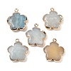 Natural Flower Amazonite Pendants G-P566-01G-15-1