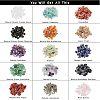 Natural Gemstone Chips Beads G-NB0001-53-3