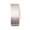 304 Stainless Steel Magnetic Clasps STAS-D382-06A-P-1