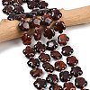 Natural Brecciated Jasper Beads Strands G-C220-E02-15mm-3