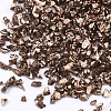 FGB Plated Glass Seed Beads SEED-S020-03B-06-2