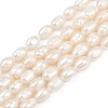 Natural Cultured Freshwater Pearl Beads Strands PEAR-P064-20H-03A-2