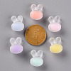 Transparent Acrylic Beads TACR-S152-12C-3