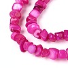 Natural Freshwater Shell Beads Strands SHEL-N037-04E-3