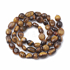 Natural Tiger Eye Beads Strands X-G-S331-6x8-001-2