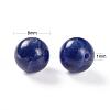 100Pcs 8mm Natural Sodalite Beads DIY-LS0002-32-3