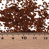 15/0 Transparent Czech Glass Seed Beads SEED-N004-004-21-6