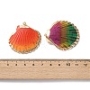 Sea Shell Pendants SSHEL-B002-07G-04-3