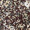 Baking Paint Glass Seed Beads X-SEED-S042-05B-55-3