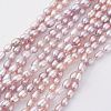 Natural Cultured Freshwater Pearl Beads Strands PEAR-G007-01-01-1