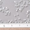 MIYUKI Delica Beads SEED-J020-DB0222-4