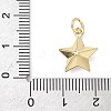 Brass Star Charms KK-K368-49G-3