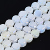 Electroplate Glass Beads Strands EGLA-Q125-002-A07-1
