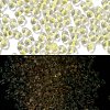Luminous Glass Seed Beads SEED-A033-07D-1
