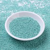 MIYUKI Round Rocailles Beads SEED-X0054-RR0536-2