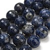 Natural Sodalite Beads Strands GG-CBA007A-D05-02-1