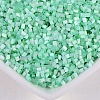 Opaque Glass Seed Beads SEED-CJC0002-01-2