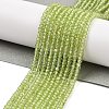 Natural Peridot Beads Strands G-ONLY-T-B07-01-2