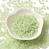 Transparent Colours Glass Seed Beads SEED-P007-01A-02-2