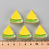 Transparent Enamel Acrylic Beads LS-TACR-S155-001H-4