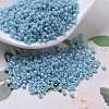 MIYUKI Delica Beads SEED-X0054-DB0218-1
