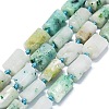 Natural Sesame Jasper Beads Strands G-O170-151-1
