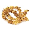 Natural Amber Beads Strands G-L095-D01-07-3