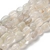 Natural White Moonstone Beads Strands G-P497-01E-69C-2