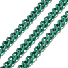 Spray Painted 304 Stainless Steel Curb Chains STAS-B067-05B-10-1
