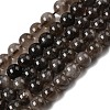 Natural Smoky Quartz Beads Strands G-B167-A09-8mm-2