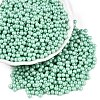 Glass Seed Beads SEED-T007-01M-3