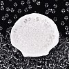 FGB Transparent Glass Seed Beads SEED-N013-01C-02-2