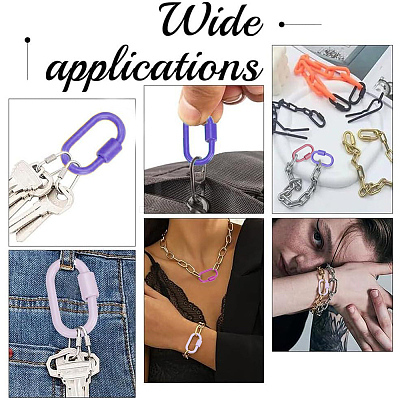 5Pcs 5 Styles Baking Paint Alloy Screw Locking Carabiners FIND-DR0002-39-1