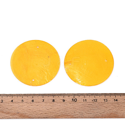 Spray Painted Natural Capiz Shell Connector Charms SSHEL-N039-03-01B-1