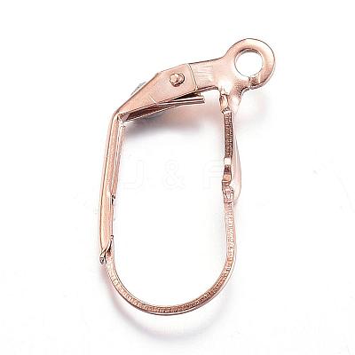 Ion Plating(IP) 304 Stainless Steel Leverback Earring Findings STAS-D167-59RG-1