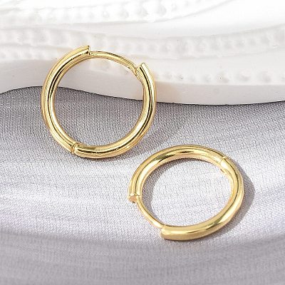 Brass Huggie Hoop Earrings KK-D160-55G-1