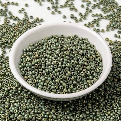 MIYUKI Round Rocailles Beads SEED-JP0009-RR2033-1