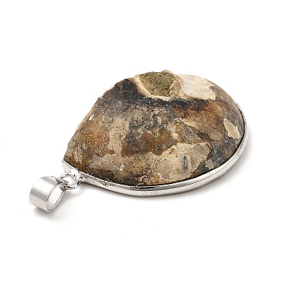Snail Fossil Pendants G-D051-1-1